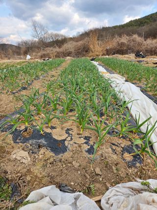권영동 님의 자유주제·자유게시판 작성글 사진