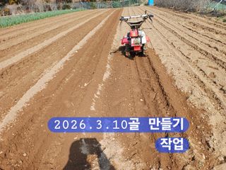 박성민님의 자유주제 · 자유게시판 작성글 사진