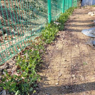 이창화님의 자유주제 · 자유게시판 작성글 사진