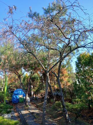 무료지식나눔 팜닥터님의 자유주제 · 자유게시판 작성글 사진