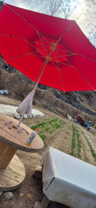 봉림동 태진농장님의 자유주제 · 자유게시판 작성글 사진