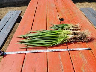 한경훈님의 자유주제 · 자유게시판 작성글 사진