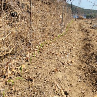 이창화님의 자유주제 · 자유게시판 작성글 사진