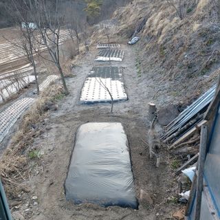 가로수님의 자유주제 · 자유게시판 작성글 사진