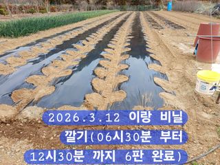 박성민님의 자유주제 · 자유게시판 작성글 사진