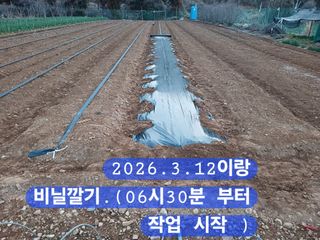 박성민님의 자유주제 · 자유게시판 작성글 사진