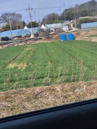 김영진(전남영광)님의 자유주제 · 자유게시판 작성글 사진