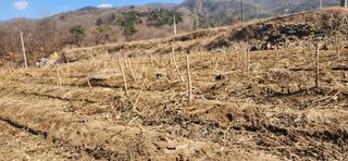 임원식님의 자유주제 · 자유게시판 작성글 사진