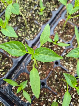 김영진(전남영광)님의 자유주제 · 자유게시판 작성글 사진