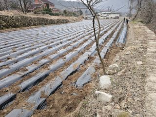 백용기님의 자유주제 · 자유게시판 작성글 사진