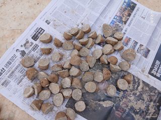 화우농원님의 자유주제 · 자유게시판 작성글 사진