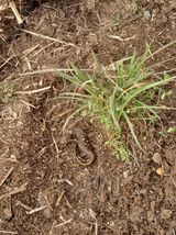 팜모닝 자유주제·자유게시판 게시글 이미지