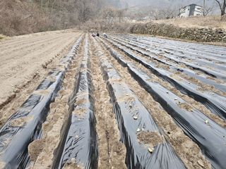 백용기님의 자유주제 · 자유게시판 작성글 사진