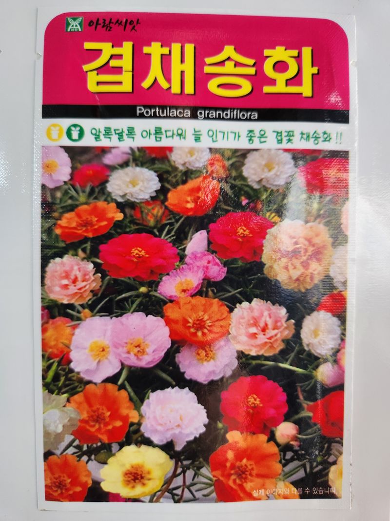 장터 상품 [겹채송화씨앗 만립] 썸네일