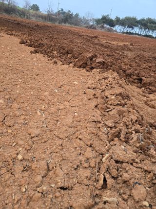 정진명님의 자유주제·자유게시판 작성글 사진