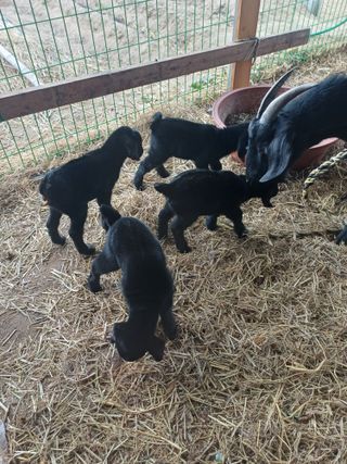 서태선님의 자유주제 · 자유게시판 작성글 사진