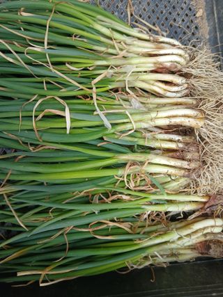 김상선님의 작성글 사진