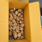 팜모닝 자유주제·자유게시판 게시글 이미지