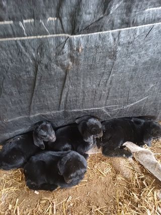 서태선님의 자유주제 · 자유게시판 작성글 사진