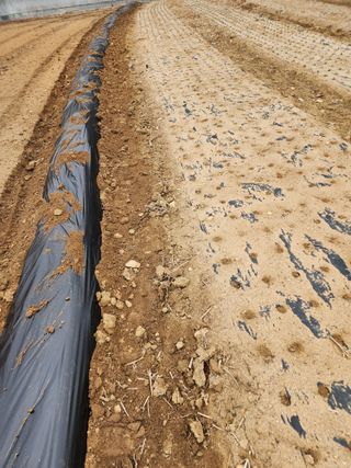 회사원&초보농사꾼님의 자유주제 · 자유게시판 작성글 사진