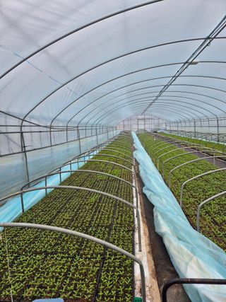 김영진(전남영광)님의 자유주제 · 자유게시판 작성글 사진