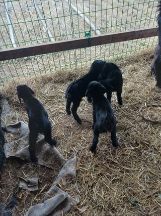 서태선님의 자유주제·자유게시판 작성글 사진