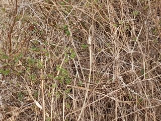 김민수산에서농사중님의 자유주제 · 자유게시판 작성글 사진