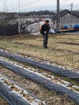 팜모닝 자유주제·자유게시판 게시글 이미지