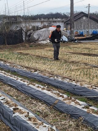 이천산수유3대농부님의 자유주제 · 자유게시판 작성글 사진