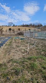 팜모닝 자유주제·자유게시판 게시글 이미지