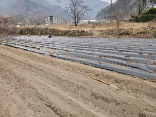 백용기님의 자유주제 · 자유게시판 작성글 사진