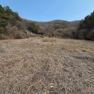 이종윤님의 자유주제 · 자유게시판 작성글 사진