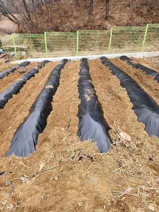 회사원&초보농사꾼님의 자유주제 · 자유게시판 작성글 사진