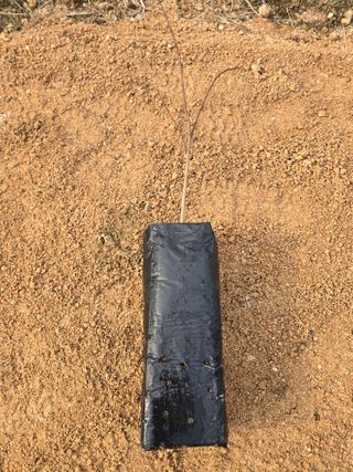 153포포묘목 농장님의 자유주제 · 자유게시판 작성글 사진