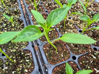 김영진(전남영광)님의 자유주제 · 자유게시판 작성글 사진