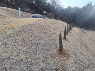 김용환님의 자유주제 · 자유게시판 작성글 사진