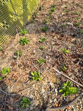 차재원님의 자유주제 · 자유게시판 작성글 사진