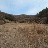 팜모닝 자유주제·자유게시판 게시글 이미지