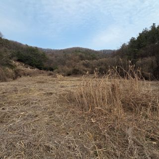 이종윤님의 자유주제 · 자유게시판 작성글 사진