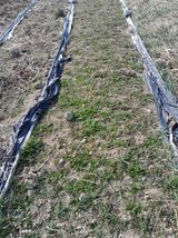 김민수산에서농사중님의 자유주제·자유게시판 작성글 사진