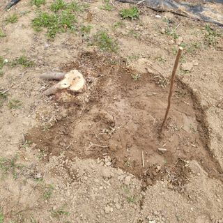 이창화님의 자유주제 · 자유게시판 작성글 사진