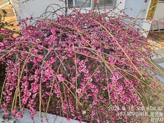 안길원님의 자유주제 · 자유게시판 작성글 사진