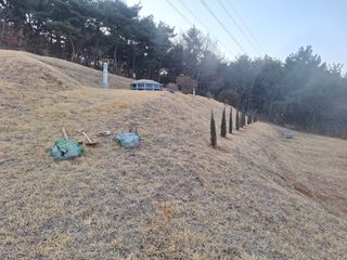 김용환님의 자유주제·자유게시판 작성글 사진