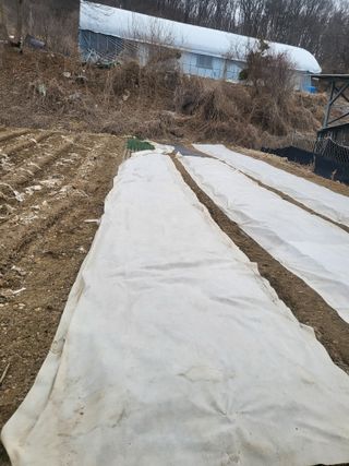 이상욱님의 자유주제 · 자유게시판 작성글 사진