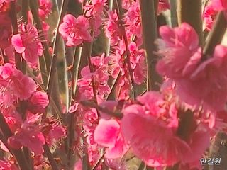 안길원님의 자유주제 · 자유게시판 작성글 사진