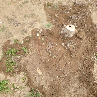 이창화님의 자유주제 · 자유게시판 작성글 사진