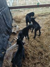 서태선님의 자유주제·자유게시판 작성글 사진