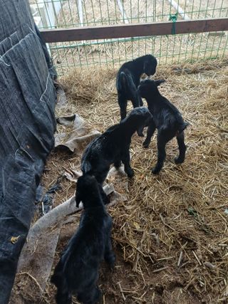 서태선님의 자유주제 · 자유게시판 작성글 사진