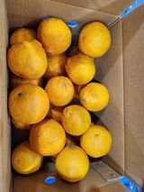 팜모닝 · 게시글 이미지