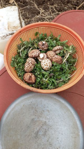 초보 구찌뽕님의 자유주제 · 자유게시판 작성글 사진